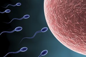 Sperm niteliğinizi 2 aylık stres düşürebiliyor