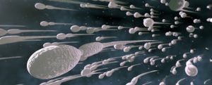 Sperm niteliğinizi 2 aylık stres düşürebiliyor