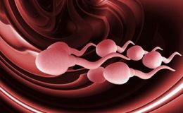 Sperm niteliğini artıran gıdalar