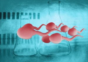 Sperm niteliğini artıran gıdalar