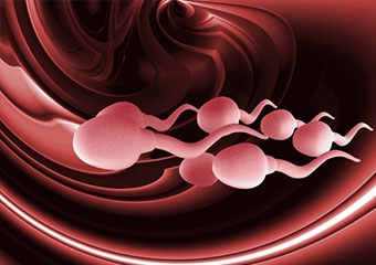 Sperm niteliğini artıran gıdalar