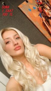 İstanbul Ataşehir Escort Bayanlara İnternetten Erişin